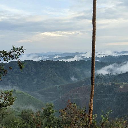 Nyungwe Village Kitabi エクステリア 写真