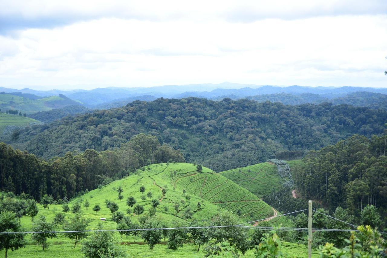 Nyungwe Village Kitabi エクステリア 写真