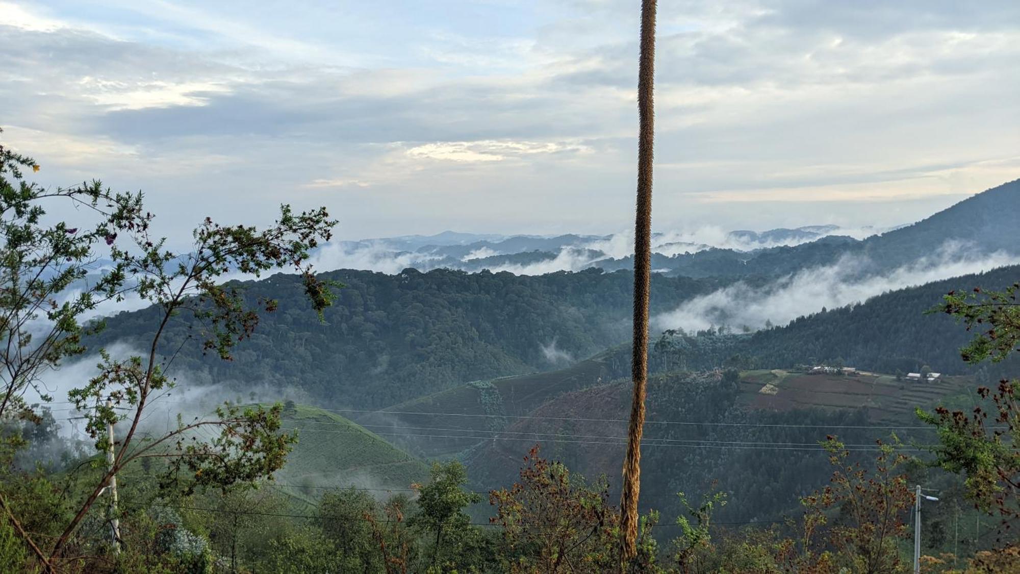 Nyungwe Village Kitabi エクステリア 写真