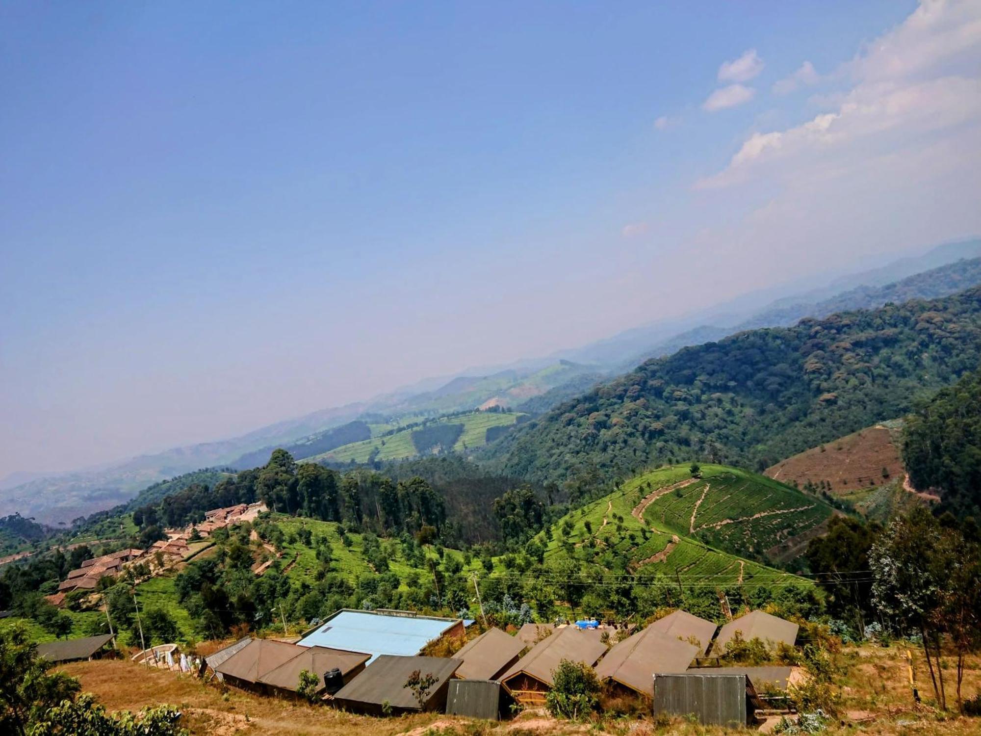 Nyungwe Village Kitabi エクステリア 写真