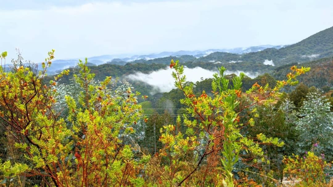 Nyungwe Village Kitabi エクステリア 写真