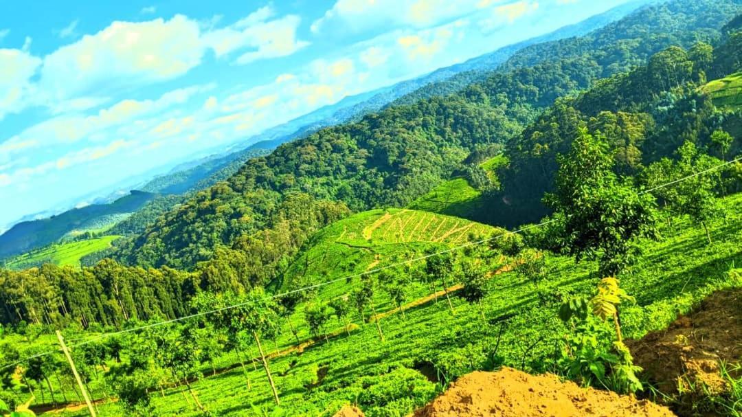 Nyungwe Village Kitabi エクステリア 写真